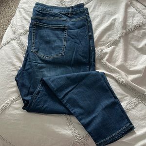 Lane Bryant Jeans
